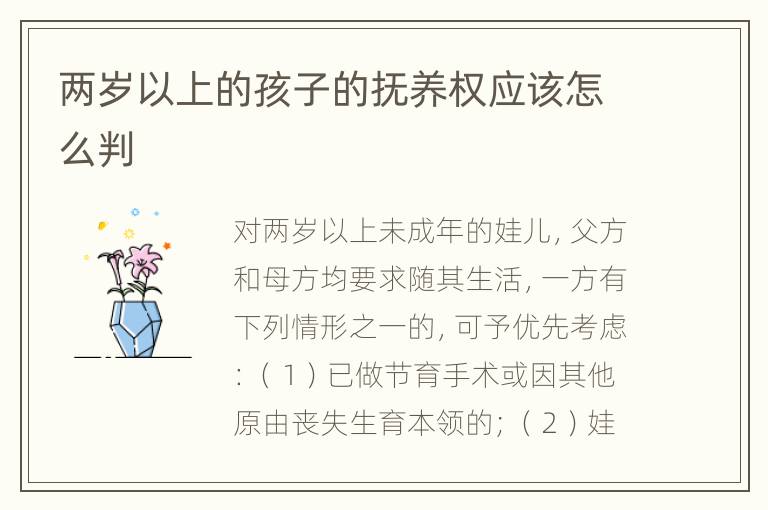两岁以上的孩子的抚养权应该怎么判