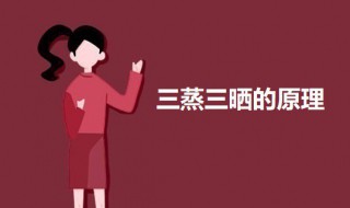 三蒸三晒的原理 三蒸三晒有什么原理吗