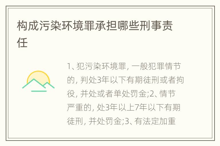 构成污染环境罪承担哪些刑事责任