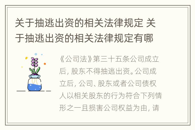 关于抽逃出资的相关法律规定 关于抽逃出资的相关法律规定有哪些