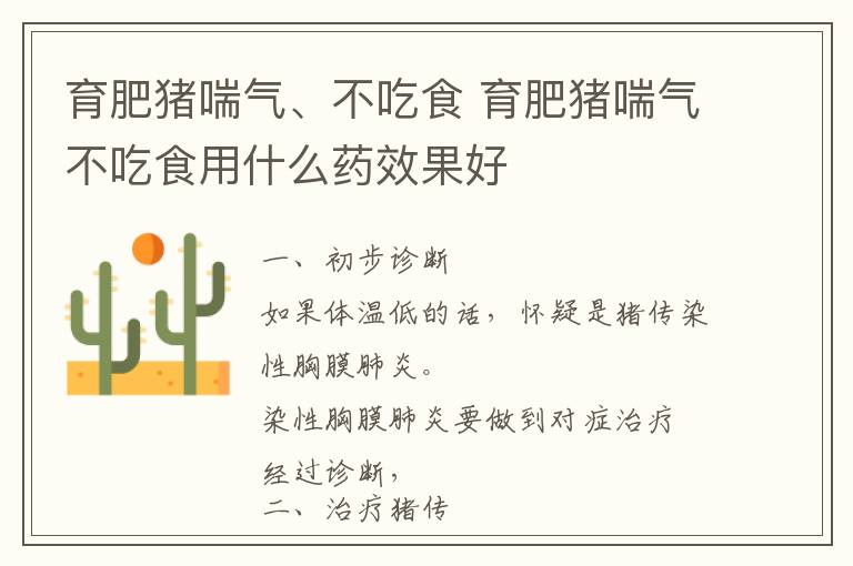 育肥猪喘气、不吃食 育肥猪喘气不吃食用什么药效果好