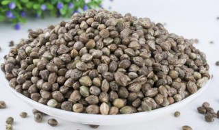 麻仁的功效与作用 麻仁的功效与作用有哪些