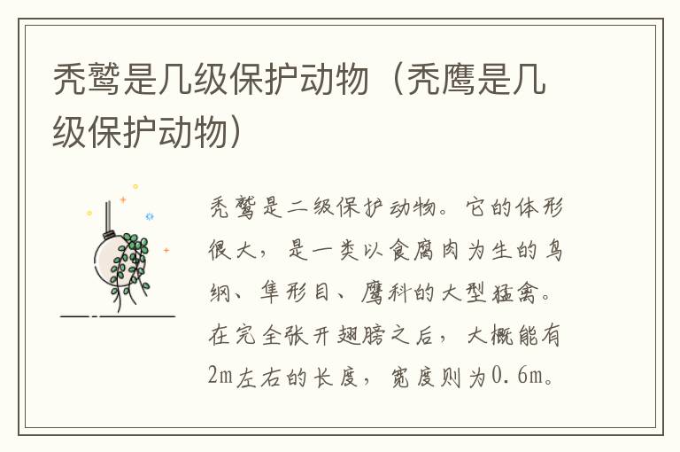 秃鹫是几级保护动物（秃鹰是几级保护动物）