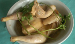 清炖鸡肉怎么做 清炖鸡肉的烹饪方法