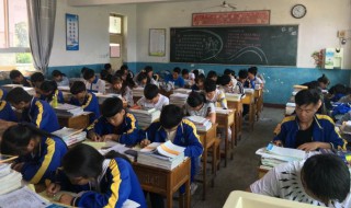 古诗所见 所见全文翻译和作者介绍