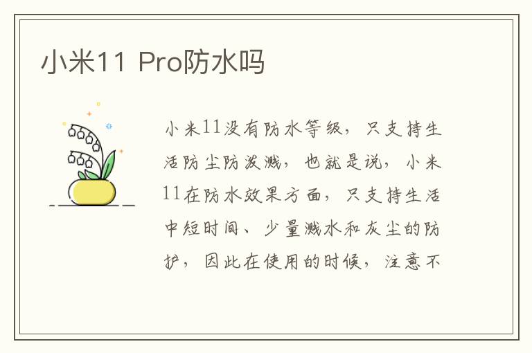 小米11 Pro防水吗
