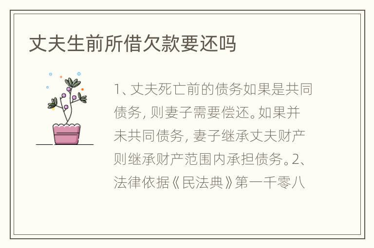 丈夫生前所借欠款要还吗