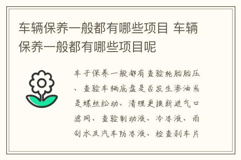 车辆保养一般都有哪些项目 车辆保养一般都有哪些项目呢