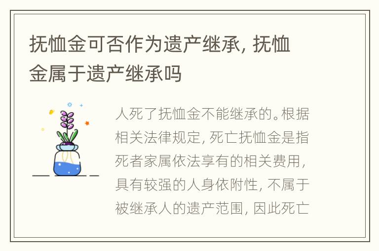 抚恤金可否作为遗产继承，抚恤金属于遗产继承吗