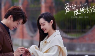 爱的理想生活演员表 爱的理想生活故事介绍