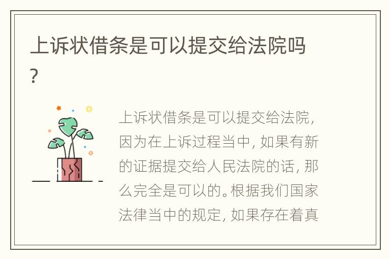上诉状借条是可以提交给法院吗？