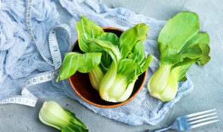 春天适合种植的蔬菜有哪些 什么菜适合春天种
