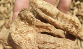 天麻能保存多长时间 天麻能保存多久