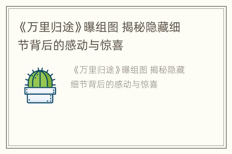 《万里归途》曝组图 揭秘隐藏细节背后的感动与惊喜