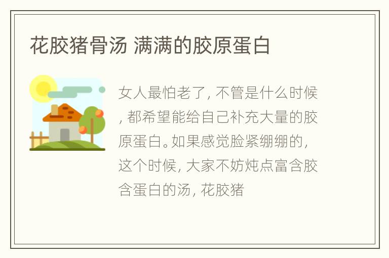 花胶猪骨汤 满满的胶原蛋白
