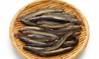 泥鳅的正确吃法 家常泥鳅炖豆腐做法介绍