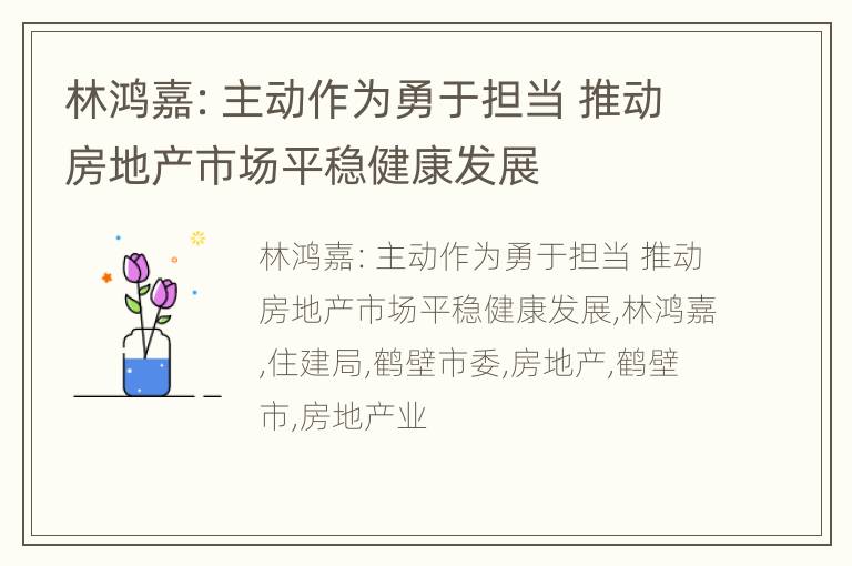 林鸿嘉：主动作为勇于担当 推动房地产市场平稳健康发展