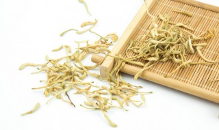 金银花可以配什么一起喝 盘点金银花的搭配