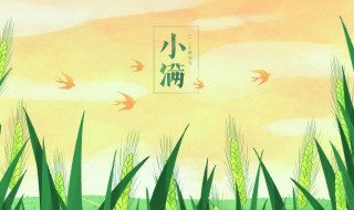 2021小满节气祝福怎么发 2021年小满祝福语句子