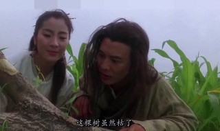 连续剧太极张三丰演员表 太极张三丰的剧情介绍