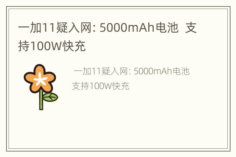 一加11疑入网：5000mAh电池  支持100W快充