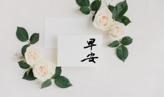 早上好问候语温馨 暖心的早安经典问候语