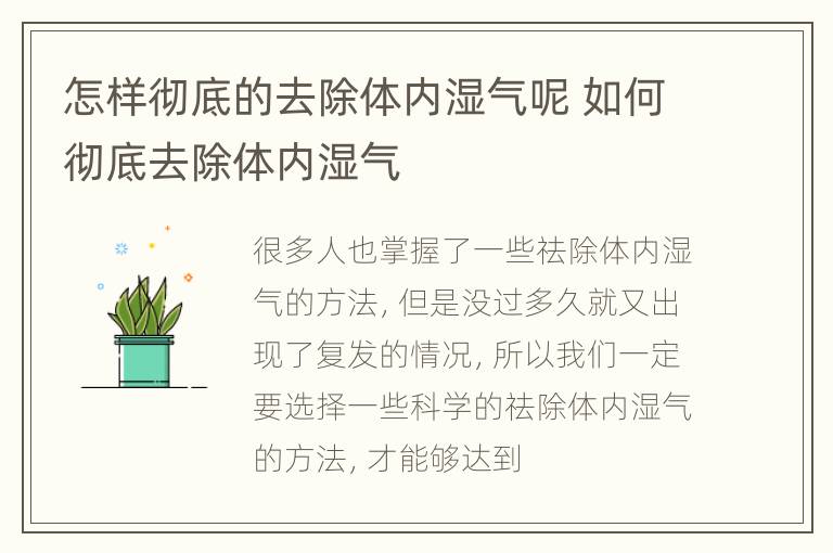 怎样彻底的去除体内湿气呢 如何彻底去除体内湿气