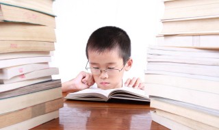 诤怎么读 诤的读音