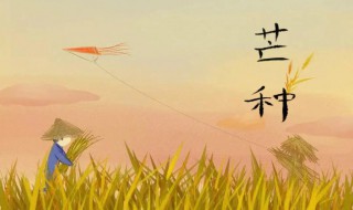 芒种过了是什么节气 芒种介绍