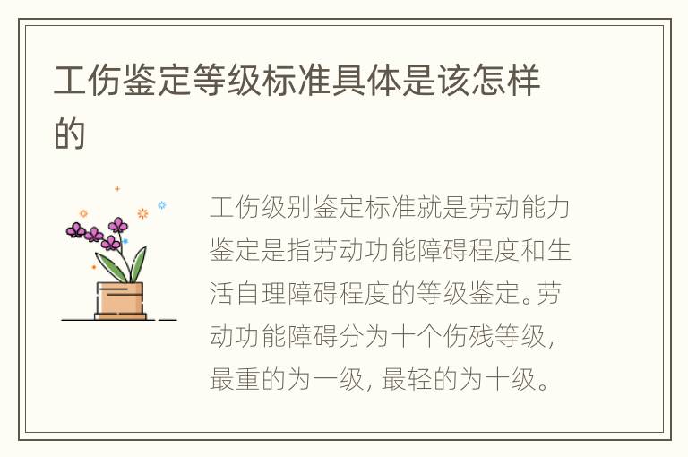 工伤鉴定等级标准具体是该怎样的