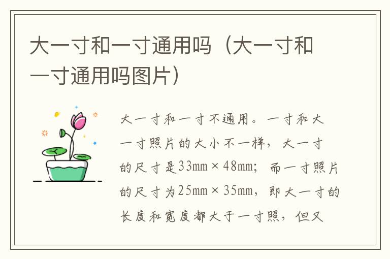 大一寸和一寸通用吗（大一寸和一寸通用吗图片）