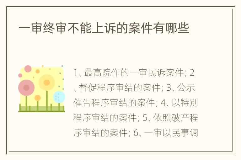 一审终审不能上诉的案件有哪些