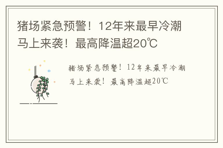 猪场紧急预警！12年来最早冷潮马上来袭！最高降温超20℃
