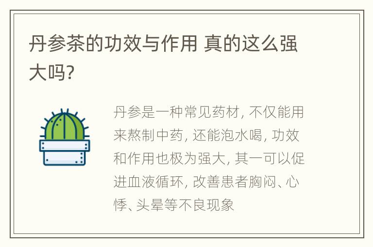 丹参茶的功效与作用 真的这么强大吗？