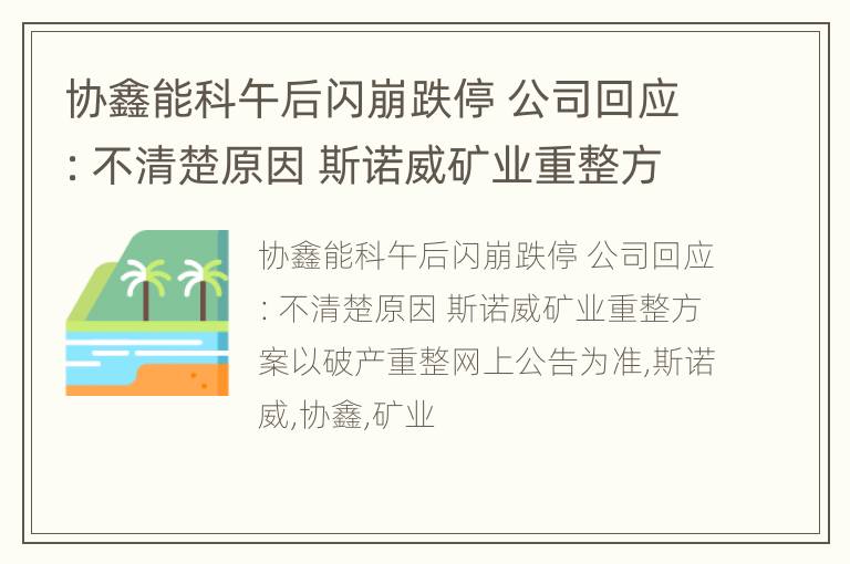 协鑫能科午后闪崩跌停 公司回应：不清楚原因 斯诺威矿业重整方案以破产重整网上公告为准