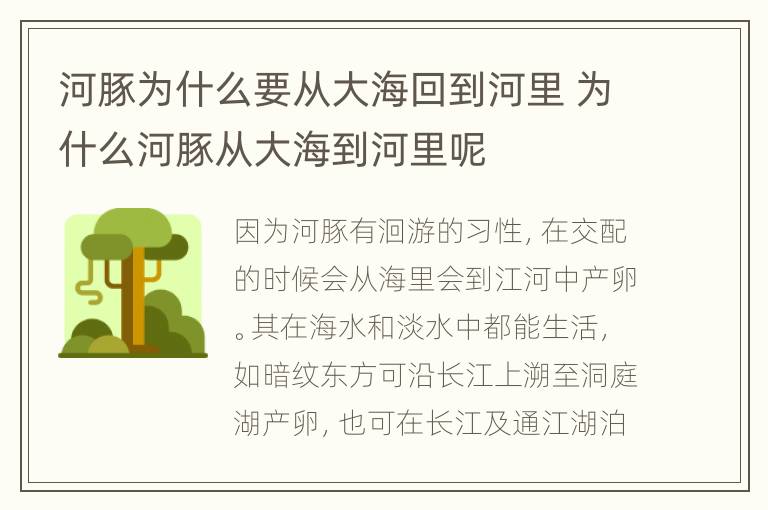 河豚为什么要从大海回到河里 为什么河豚从大海到河里呢