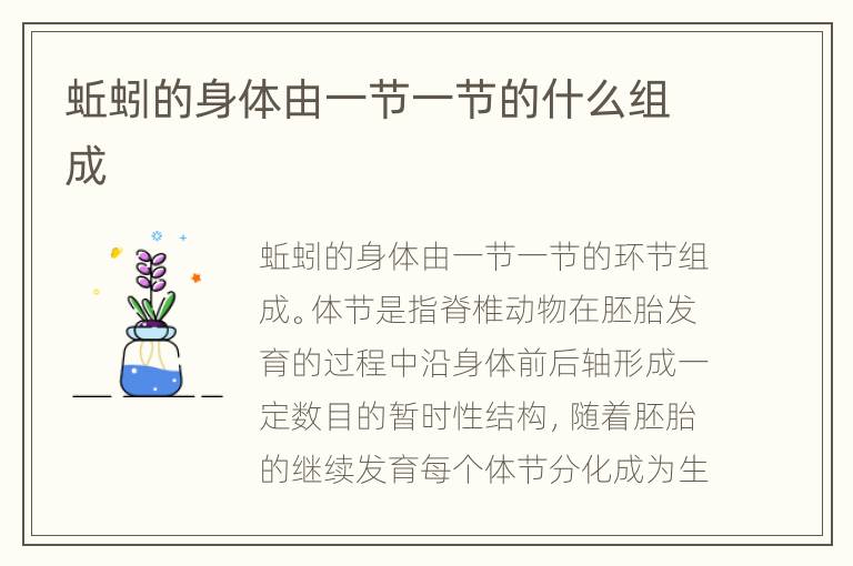 蚯蚓的身体由一节一节的什么组成