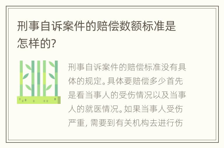 刑事自诉案件的赔偿数额标准是怎样的？