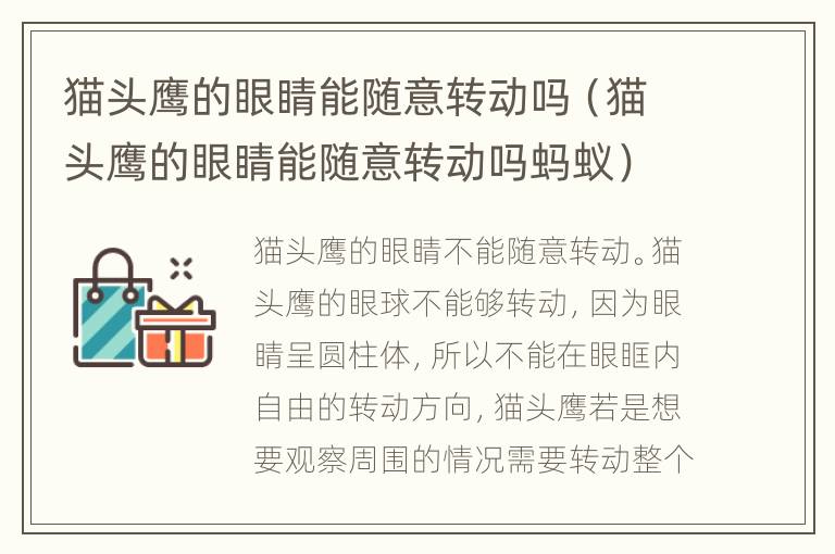 猫头鹰的眼睛能随意转动吗（猫头鹰的眼睛能随意转动吗蚂蚁）