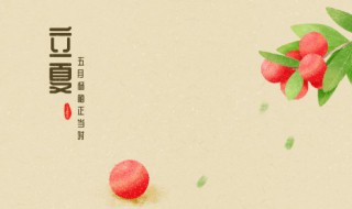 立夏啥意思 立夏的简介
