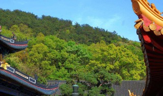国庆去舟山哪里打卡景点，国庆去舟山哪里打卡景点好玩