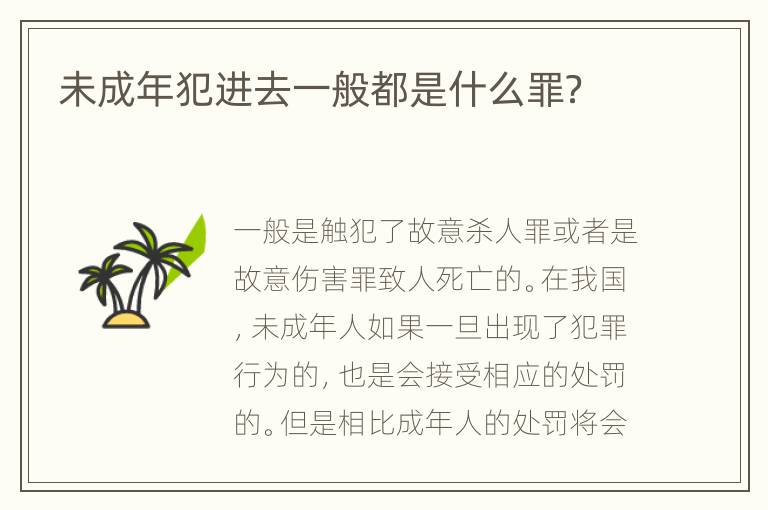 未成年犯进去一般都是什么罪？