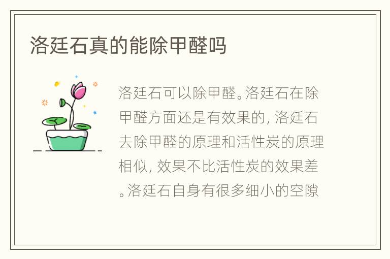 洛廷石真的能除甲醛吗
