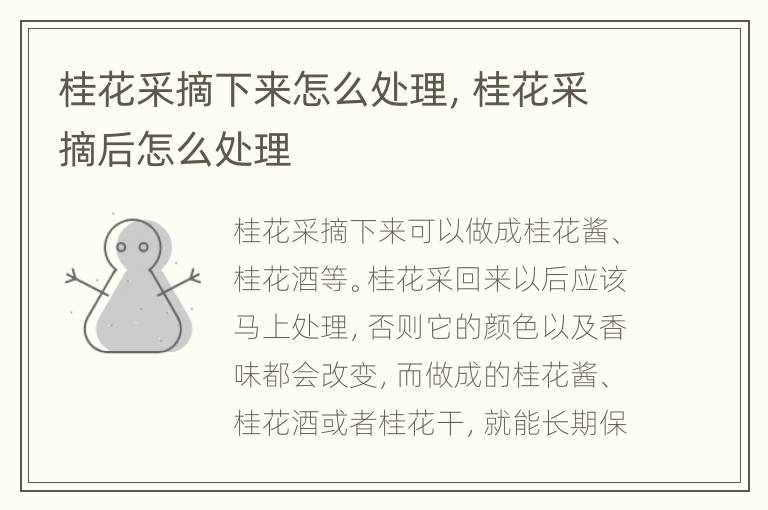桂花采摘下来怎么处理，桂花采摘后怎么处理