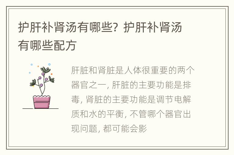 护肝补肾汤有哪些？ 护肝补肾汤有哪些配方