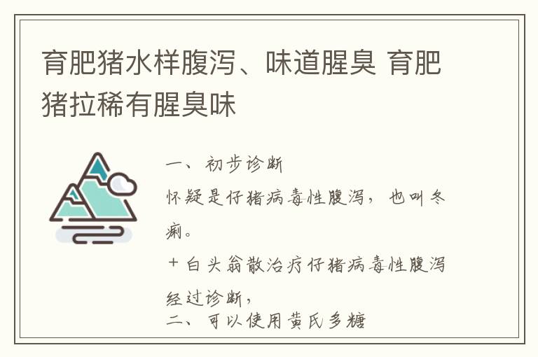 育肥猪水样腹泻、味道腥臭 育肥猪拉稀有腥臭味