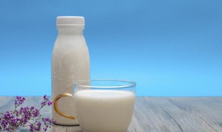 骆驼奶粉如何冲泡 骆驼奶粉冲泡方法