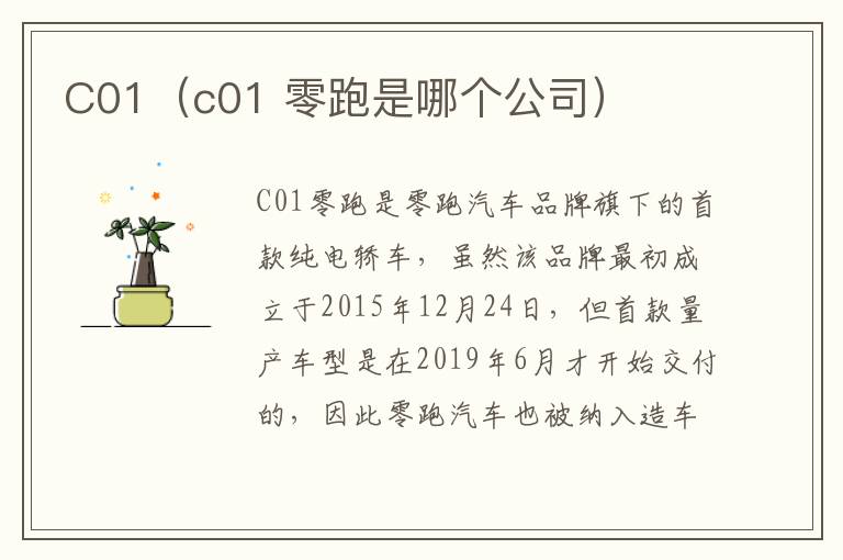 C01（c01 零跑是哪个公司）