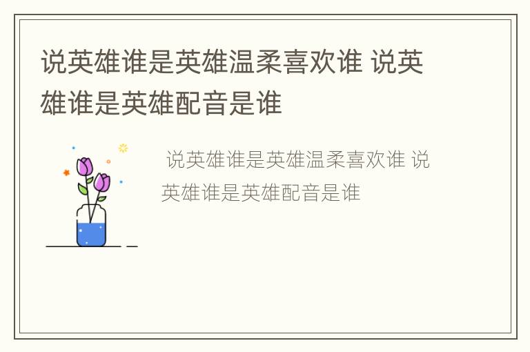 说英雄谁是英雄温柔喜欢谁 说英雄谁是英雄配音是谁