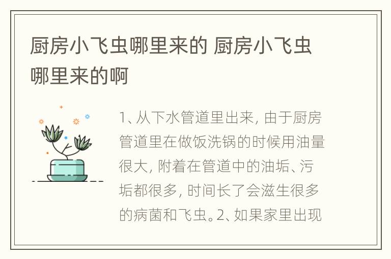 厨房小飞虫哪里来的 厨房小飞虫哪里来的啊